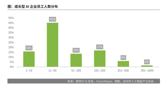 中国成长型AI企业研究报告总结：发展动态与趋势分析