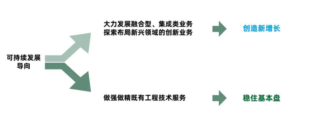 成长型企业的发展趋势、历程、前景及突破点分析与实例探讨