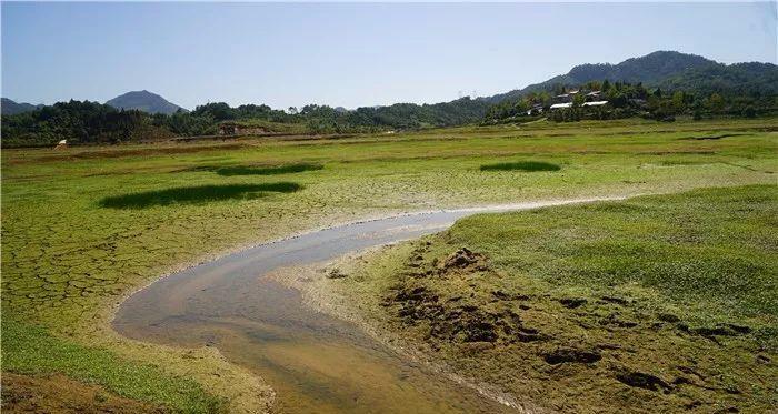 漫步梦幻花海：探寻浪漫之旅的视觉盛宴