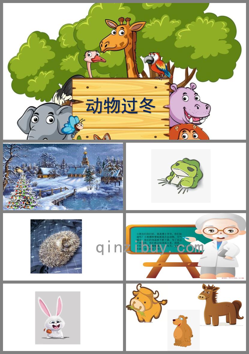 中班课程-中班课程内容有哪些