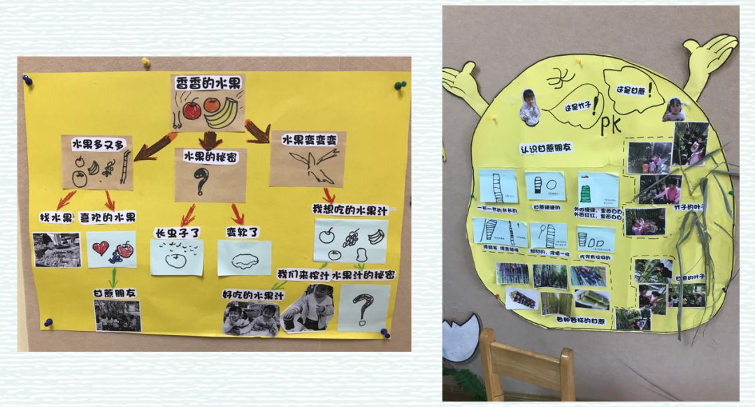 中班课程-中班课程内容有哪些