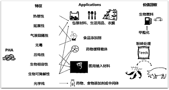 AI与HI在睡眠报告中的作用分析