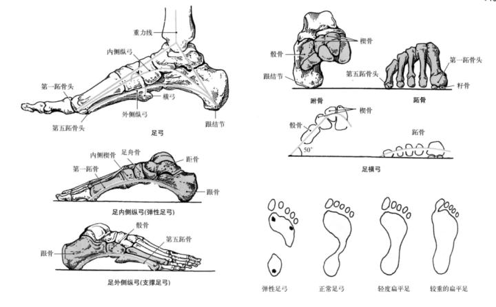 智能AI系统体态评估报告模板撰写指南