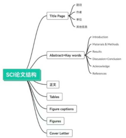 期刊论文写作与发表：国际SCI期刊攻略及入行要点区别与要求解析