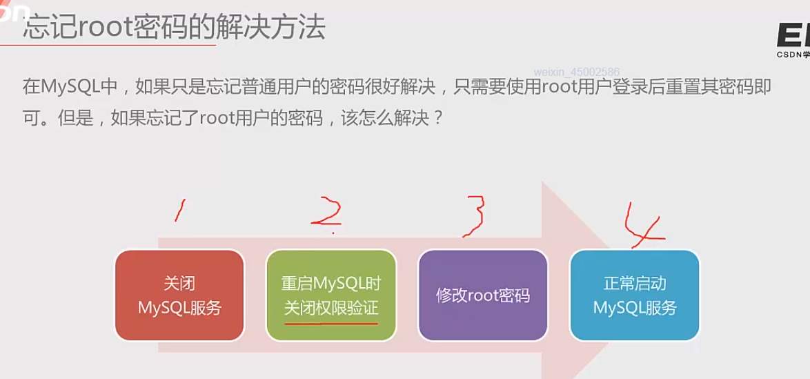 掌握AI脚本编写：从基础入门到实战技巧