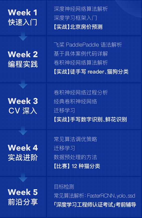 AI实训项目全方位总结与经验分享——从理论到实践的深度剖析