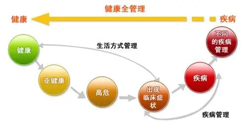 全方位生命健康管理与咨询平台：解答健康疑问，提升生活品质