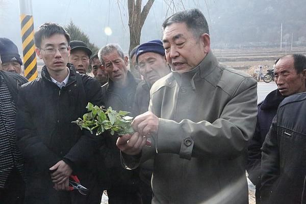 利用AI技术编写广告拍摄脚本的可行性探讨