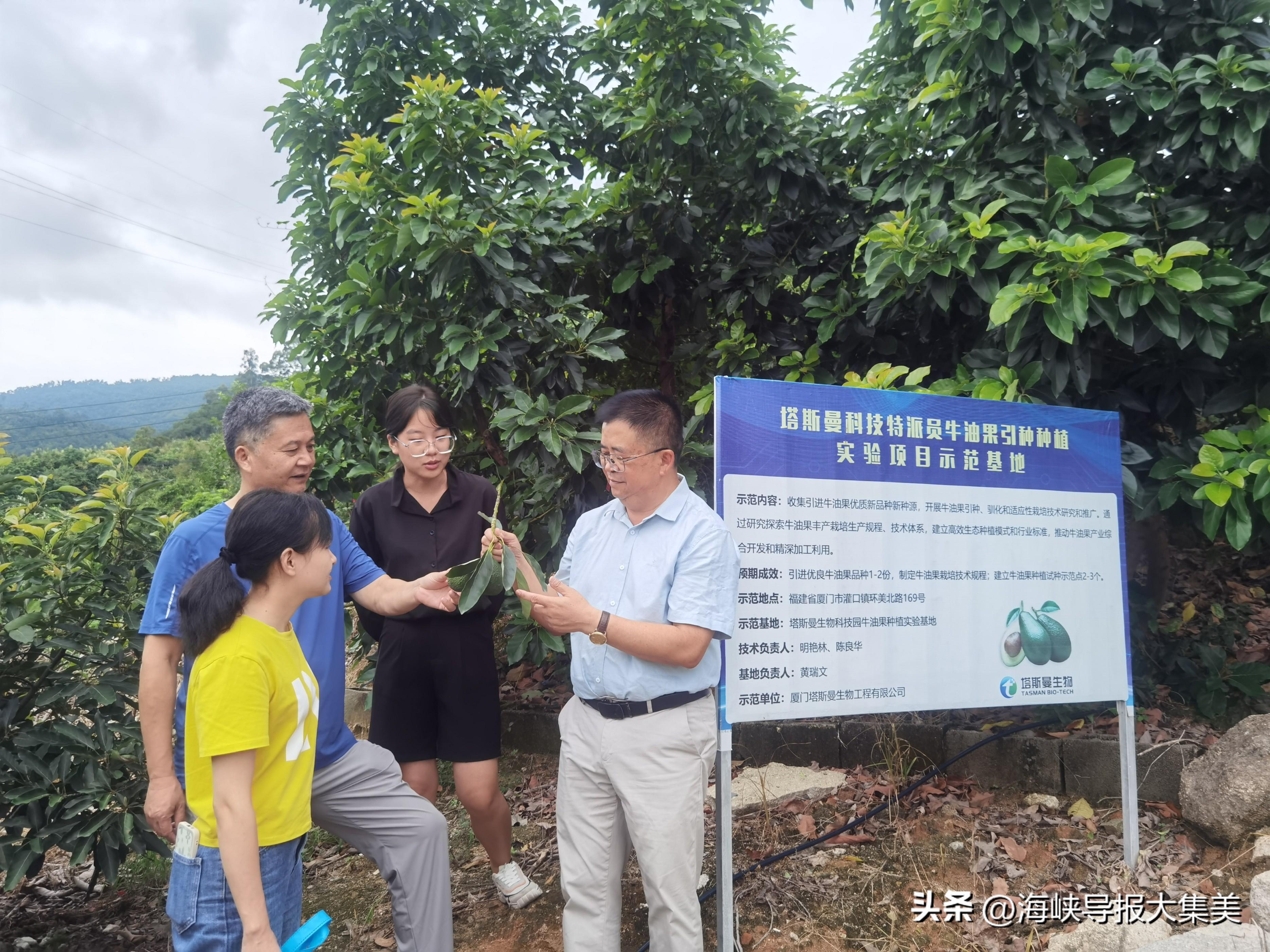 利用AI技术编写广告拍摄脚本的可行性探讨
