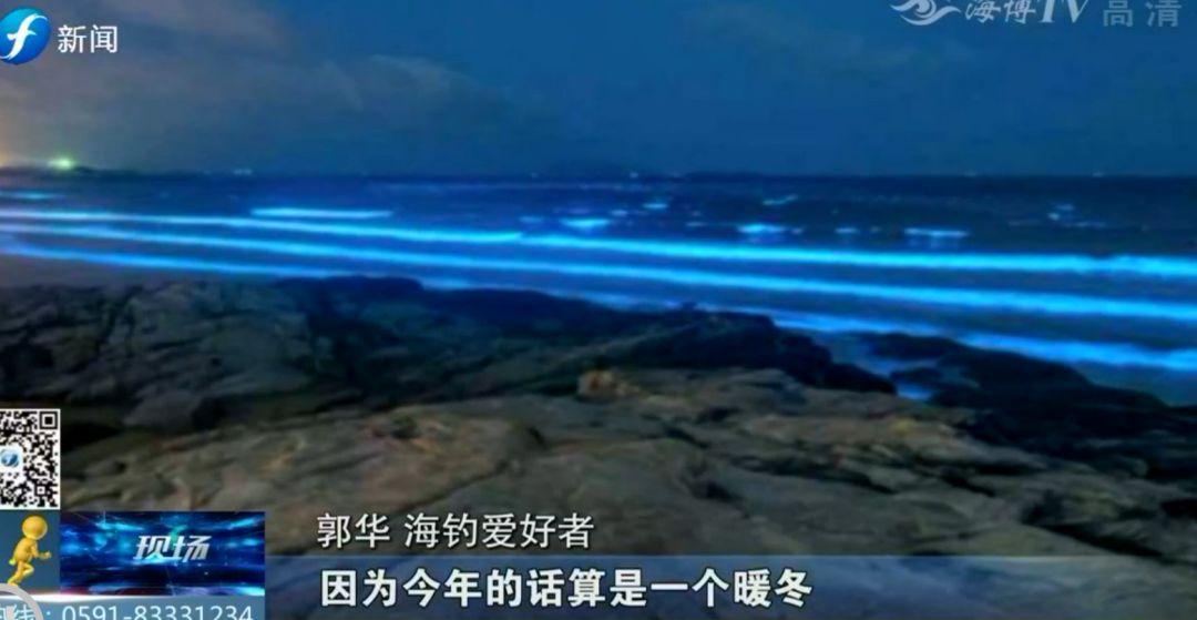 探索荧光海的梦幻之美：精选唯美句子与奇妙现象解析