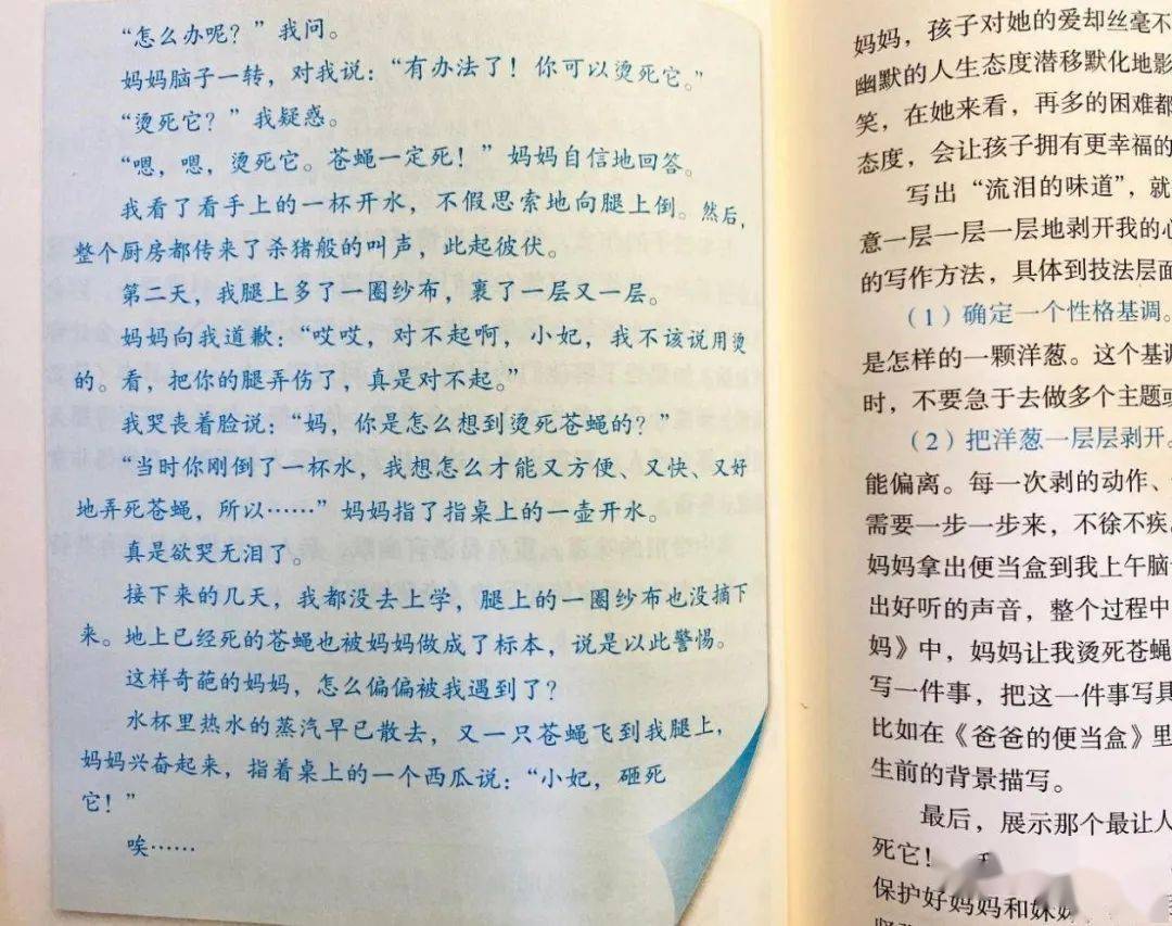 纪录片分镜头脚本怎么写：撰写技巧、范例与范文精选