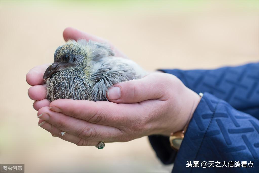 ai智能写作开头