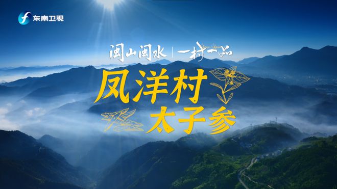 探索泰山之美：精心挑选的朋友圈文案与旅行攻略