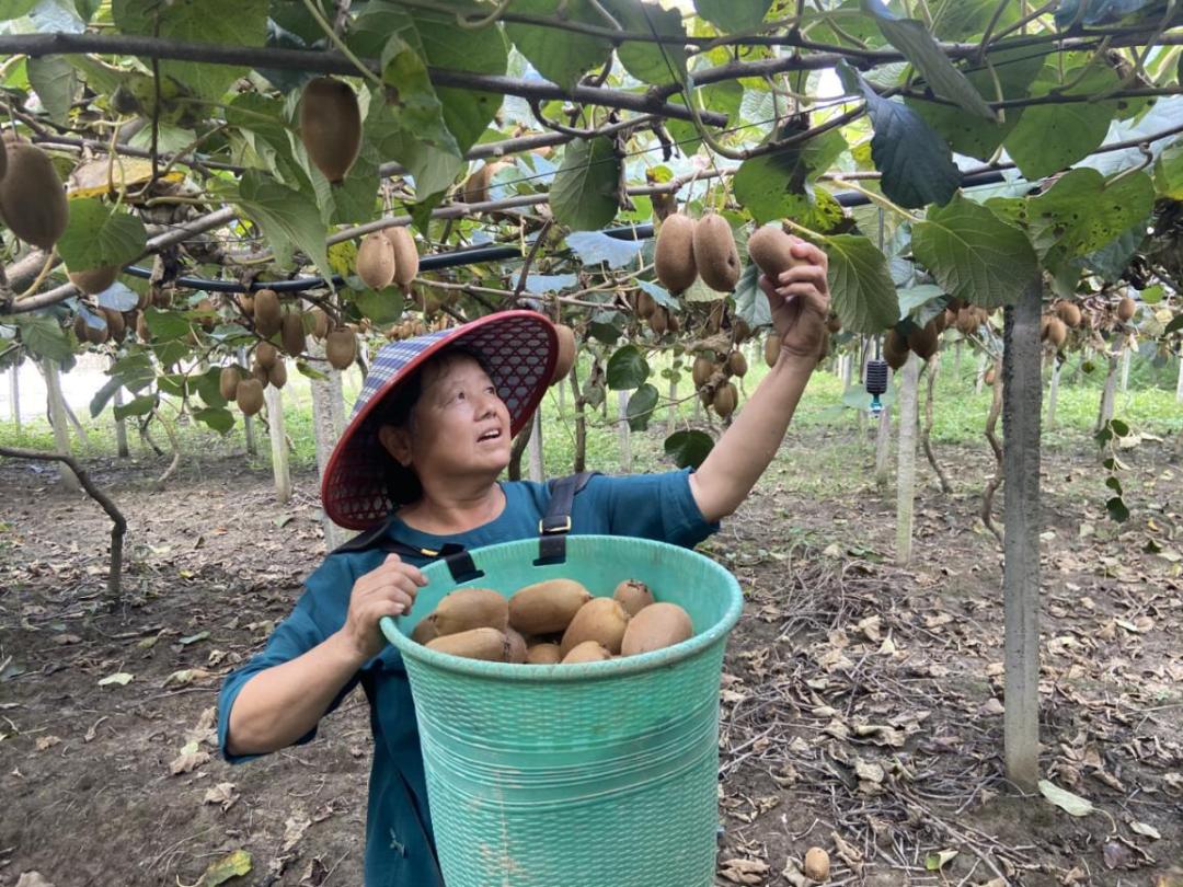 AI虚拟直播带货对消费者购买意愿影响探析