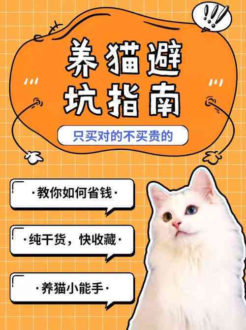 全面解析创作猫盈利模式：揭秘猫咪创作者如何多元化赚钱途径