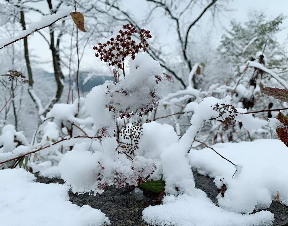 初雪相遇·自拍时光