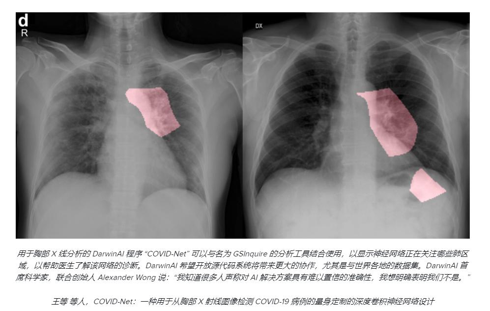 智能AI生成文章完整源代码解析与实践