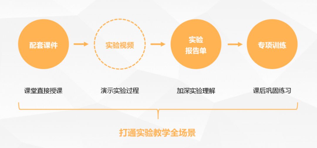 全面解析：生物学模拟实验的设计、实施与应用