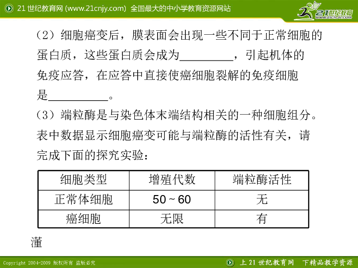 绡质生物模型实验研究报告