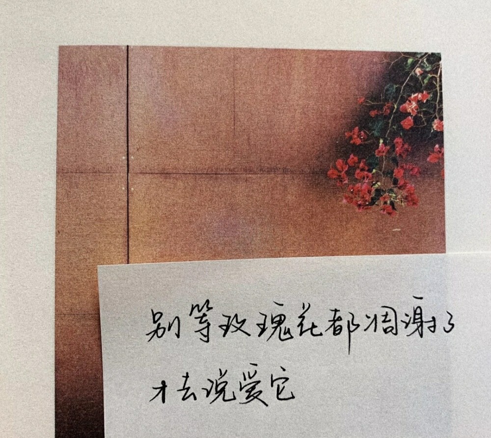 婚纱照文案语句撰写技巧与精选短句大全