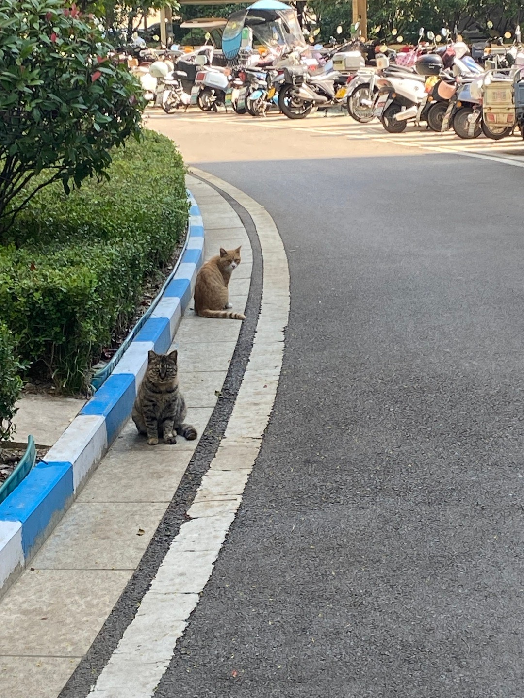 路路路途上的浣曡