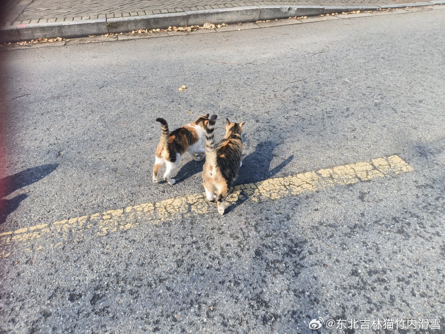 路路路途上的浣曡