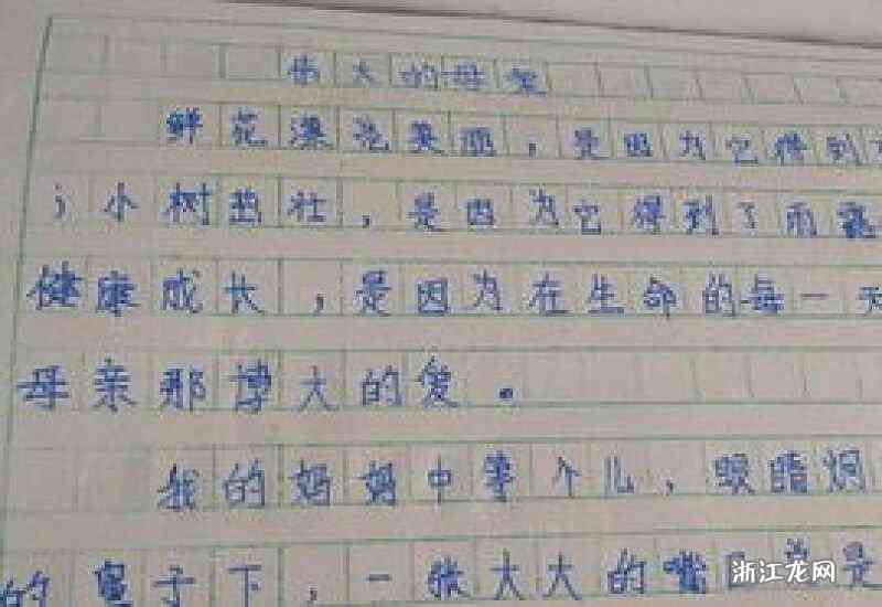 一个妈妈三百字作文：四年级版及通用篇