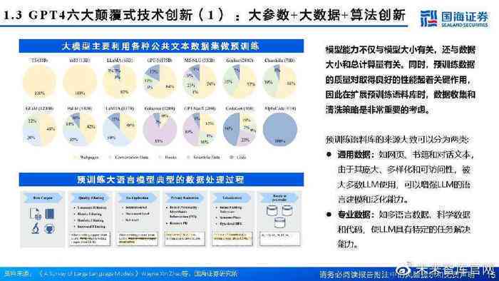 AI大模型市场研究报告总结范文：分析与展望