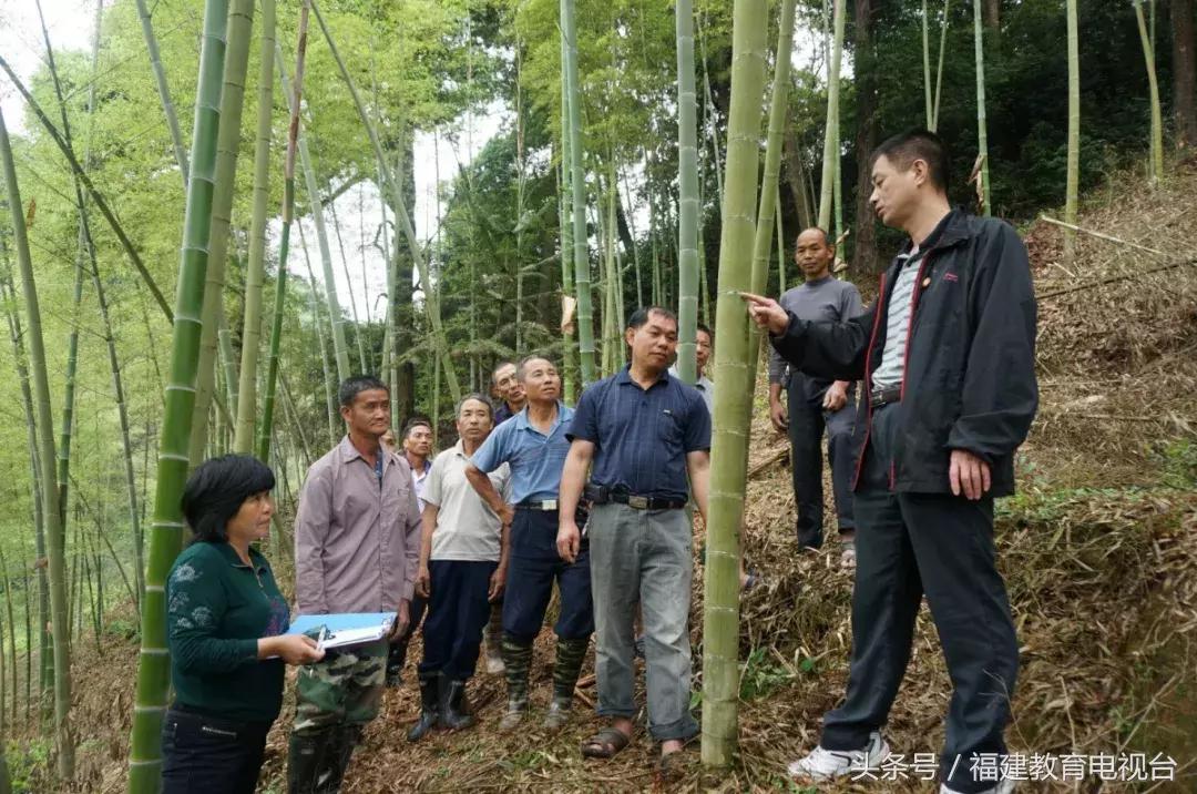 教改论文好写吗？内容要求多少字？好发吗？一般写什么？