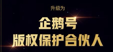 怎么成为闪闪云合伙人及城市合伙人条件与步骤