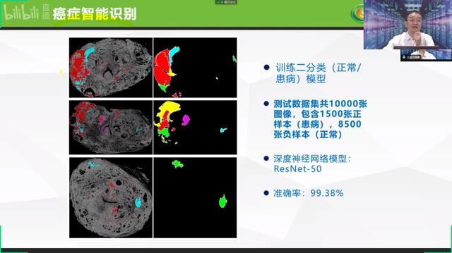 大脑智能创作平台：、官网及功能概述