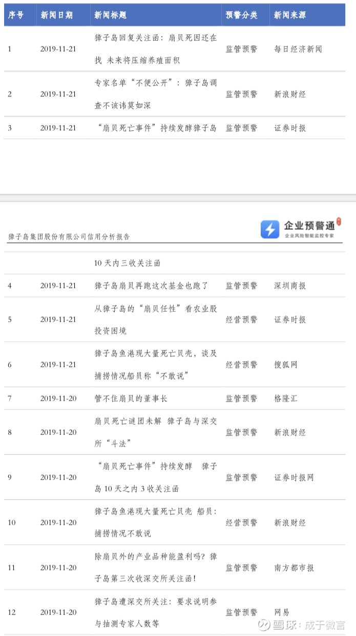 调查报告生成软件：功能、与制作工具概述