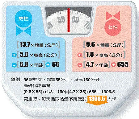 利用AI技术优化文案写作技巧