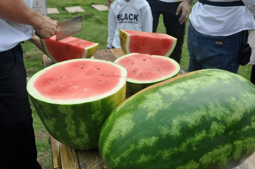 夏日炎炎，清凉一夏：西瓜鲜美口感宣传攻略