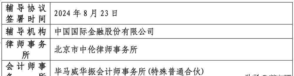 全面解析国产AI芯片：最新调研报告与发展趋势分析