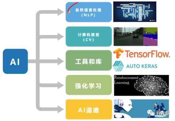 AI软件的总结：基础知识与功能简介