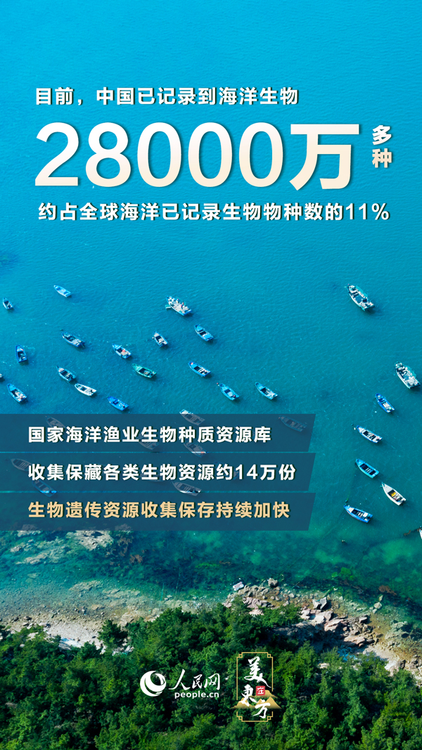 2020年热门文案分享——捕捉那年独特的风采