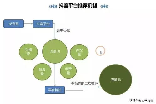 全面解析抖音矩阵运营策略：从入门到精通，解答你的所有疑惑