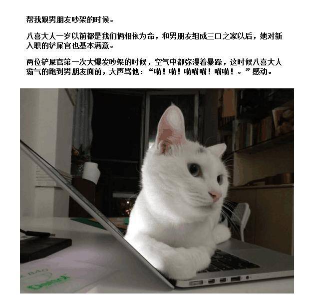 揭秘猫咪专属特效：为爱宠打造神奇瞬间