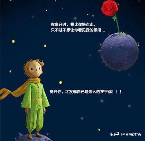 玫瑰花小王子语录：摘抄与经典台词大全