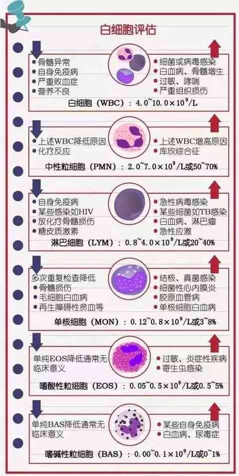 全面解读血细胞分析报告：常见指标异常分析及健康建议指南