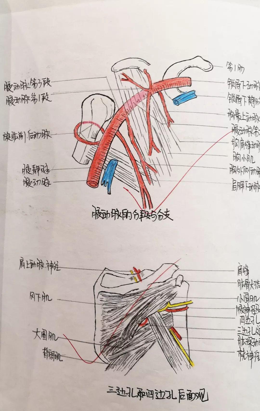 全面解析：绘画大赛参赛攻略及推文撰写技巧