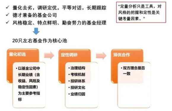 探究工作方案的制定与工作报告的编写：差异与要点解析