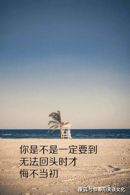 小和尚的爱情智慧：感悟人生与情感的哲理语录