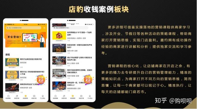 全面解析宠物店营销策略：优质文案策划提升店铺吸引力