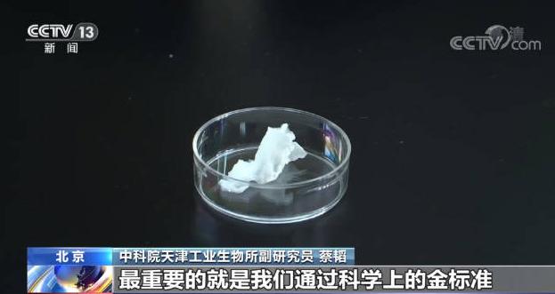 未来宝宝合成照片生成与大全：如何制作未来宝宝合成照片