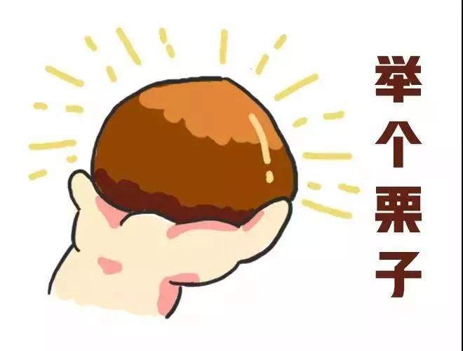 全方位解析AI剧本创作平台：功能、优势与使用指南