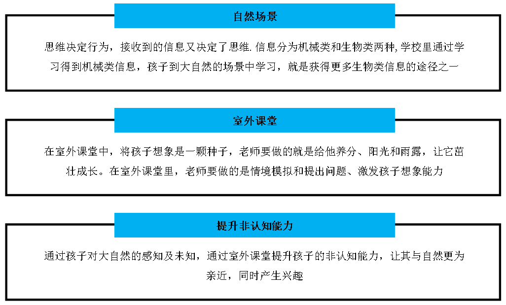 深入探究模仿训练的多种益处及其应用场景