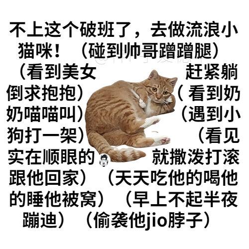 小猫AI变身文案：变身小猫咪创意动画片解析