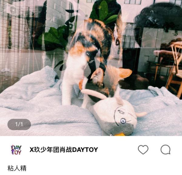 小猫AI变身文案：变身小猫咪创意动画片解析